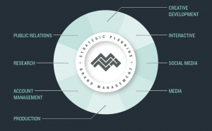 MVNP's Capabilities Graphic