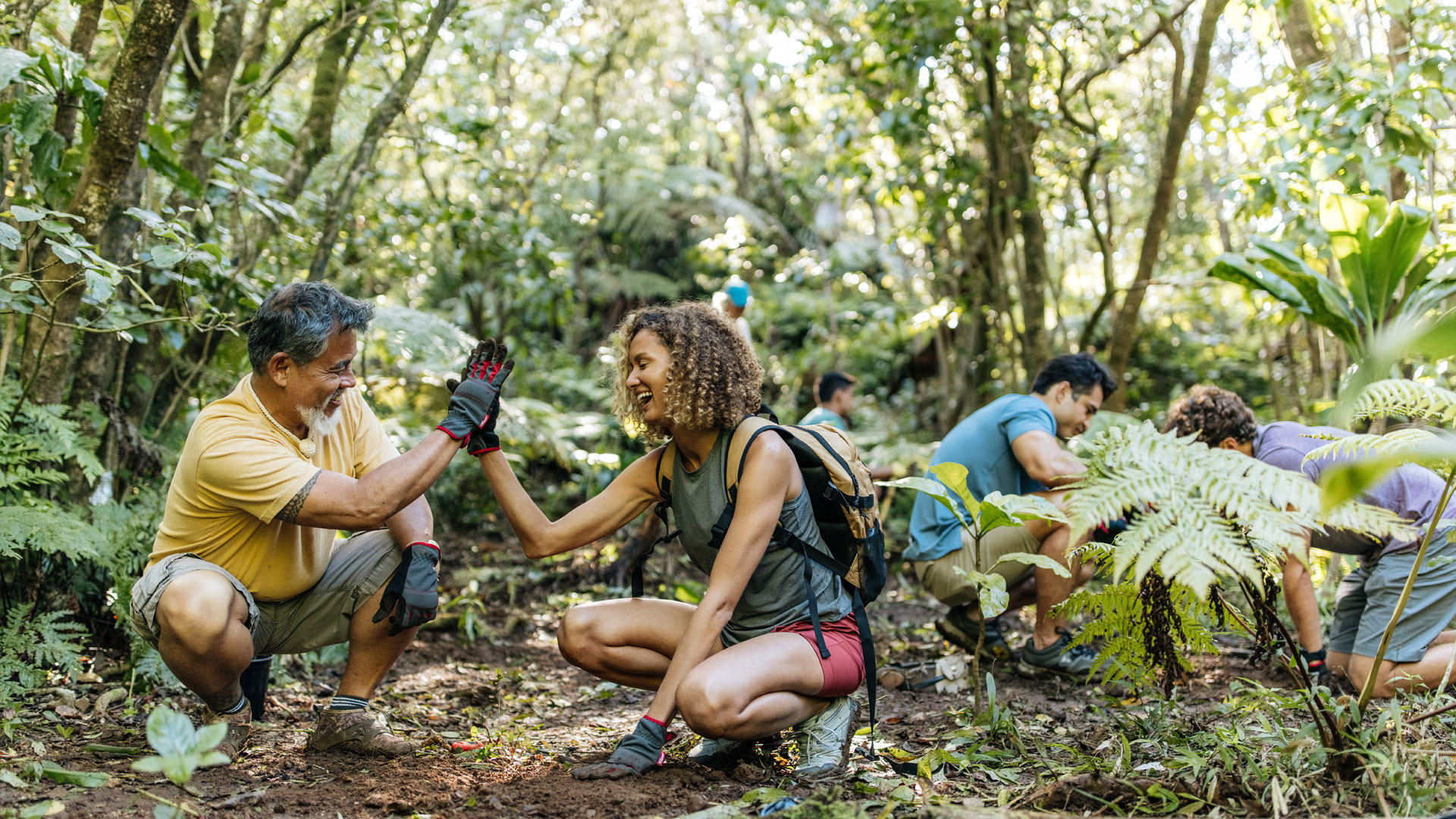 HVCB Reforestation Malama Hawaii